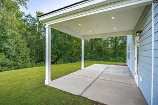 169 Monroe Preserve Ln, Chapin, SC 29036 - Photo 42