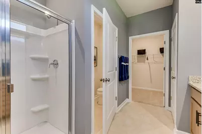 712 Top Line Street, Chapin, SC 29036 - Photo 26