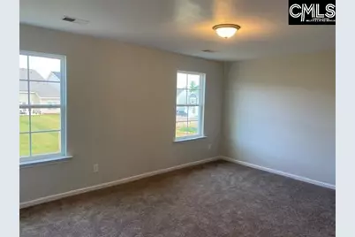 953 Bergenfield Lane, Chapin, SC 29036 - Photo 6