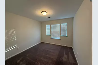 953 Bergenfield Lane, Chapin, SC 29036 - Photo 12