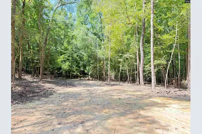 281 Douglas Road, Pomaria, SC 29126 - Photo 24