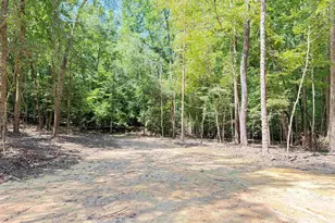 281 Douglas Rd, Pomaria, SC 29126 - Photo 24