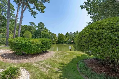 129 Wandering Brook Road, Irmo, SC 29036 - Photo 36