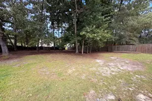 105 Sorrel Tree Ln, Elgin, SC 29045 - Photo 24