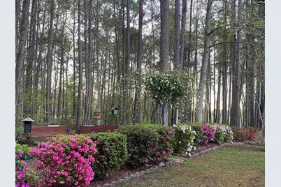 129 Mallard Landing Way, Columbia, SC 29209 - Photo 46
