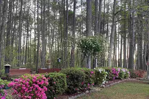 129 Mallard Landing Way, Columbia, SC 29209 - Photo 46