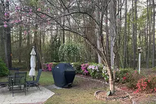 129 Mallard Landing Way, Columbia, SC 29209 - Photo 44