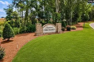 294 Summer Orch Dr, Lexington, SC 29072 - Photo 42