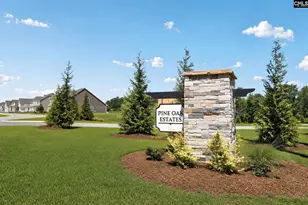 262 Foxglade Dr, Gilbert, SC 29054 - Photo 2