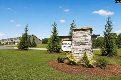 267 Foxglade Drive, Gilbert, SC 29054 - Photo 26