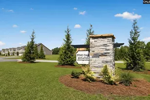 267 Foxglade Dr, Gilbert, SC 29054 - Photo 26