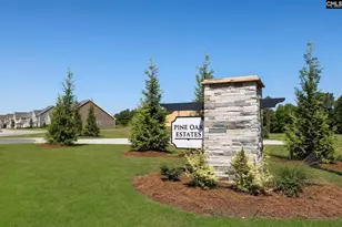 270 Foxglade Dr, Gilbert, SC 29054 - Photo 4