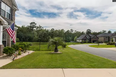 536 Lever Hill Court, Chapin, SC 29036 - Photo 6