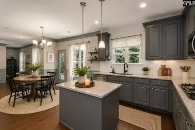 536 Lever Hill Court, Chapin, SC 29036 - Photo 22