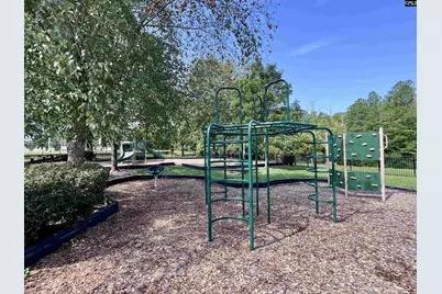 447 Gauley Drive, Columbia, SC 29212 - Photo 68