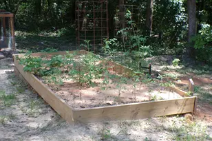 1128 Taylor Ln, Elgin, SC 29045 - Photo 28