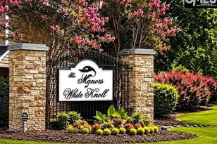 425 Magnolia Tree Rd, Lexington, SC 29073 - Photo 38