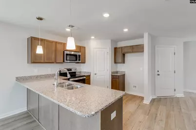 239 Laurinton Farms Drive, Hopkins, SC 29061 - Photo 8