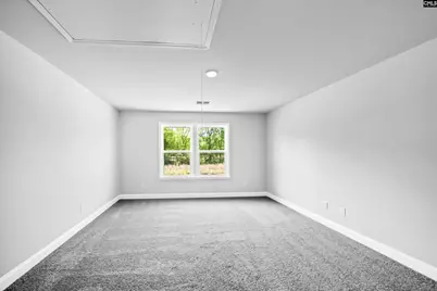 165 Monroe Preserve Lane, Chapin, SC 29036 - Photo 20