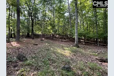 2240 Lake Road, Ridgeway, SC 29130 - Photo 22