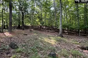 2240 Lake Rd, Ridgeway, SC 29130 - Photo 22