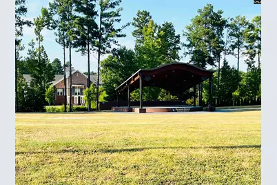 12 Healy Way, Blythewood, SC 29016 - Photo 20