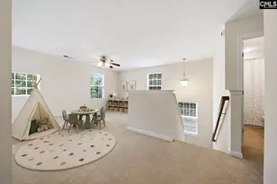 124 Palm St, Chapin, SC 29036 - Photo 14