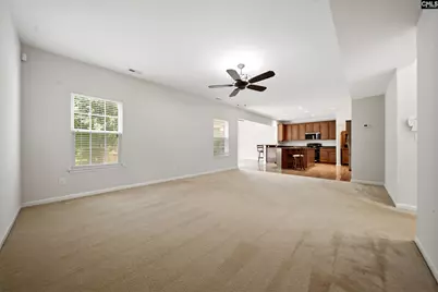 124 Palm Street, Chapin, SC 29036 - Photo 8