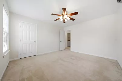 124 Palm Street, Chapin, SC 29036 - Photo 22