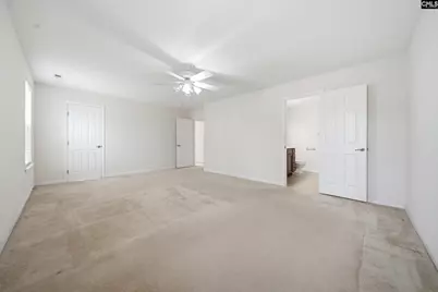 124 Palm Street, Chapin, SC 29036 - Photo 24