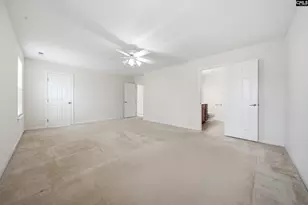 124 Palm St, Chapin, SC 29036 - Photo 24