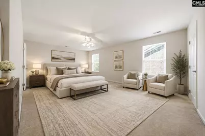 124 Palm Street, Chapin, SC 29036 - Photo 16