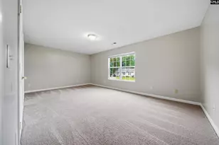 305 Cutter Ct, Chapin, SC 29036 - Photo 18