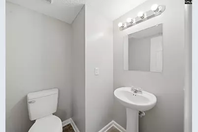 305 Cutter Court, Chapin, SC 29036 - Photo 8