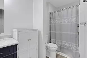 1735 Old Hilton Rd, Chapin, SC 29036 - Photo 26
