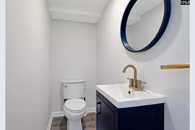1735 Old Hilton Road, Chapin, SC 29036 - Photo 28
