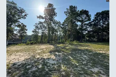 208 Crickentree Drive, Blythewood, SC 29016 - Photo 2