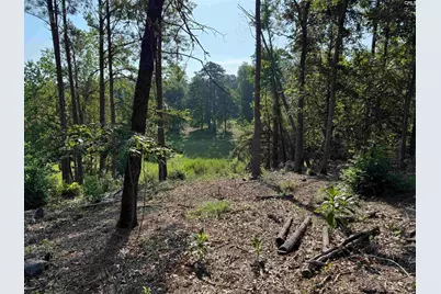 208 Crickentree Drive, Blythewood, SC 29016 - Photo 4