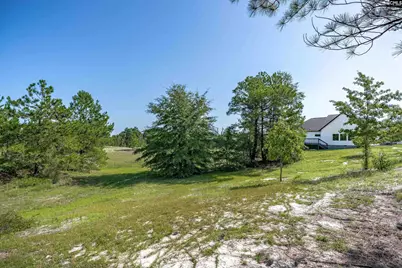 234 McKade Lane, Leesville, SC 29070 - Photo 38