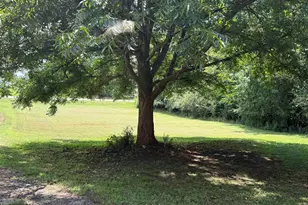 2867 Sc Hwy 219, Prosperity, SC 29127 - Photo 26