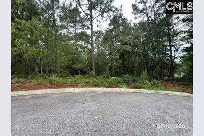 4 Lost Dog Court, Elgin, SC 29045 - Photo 1