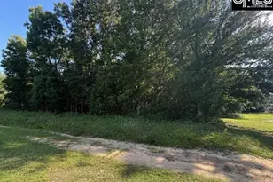 0 Dora Rd, Orangeburg, SC 29115 - Photo 1