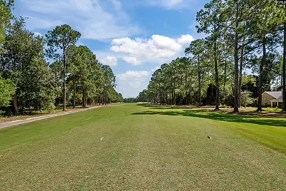 321 Wood Duck Road, Columbia, SC 29223 - Photo 38