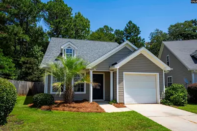 135 Merowey Court, Chapin, SC 29036 - Photo 1