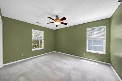 135 Merowey Court, Chapin, SC 29036 - Photo 18