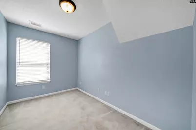 135 Merowey Court, Chapin, SC 29036 - Photo 22