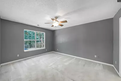 135 Merowey Court, Chapin, SC 29036 - Photo 12