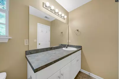135 Merowey Court, Chapin, SC 29036 - Photo 20
