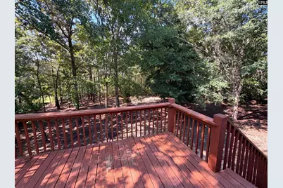 168 Hollow Tree Court, Lugoff, SC 29078 - Photo 18