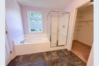 168 Hollow Tree Court, Lugoff, SC 29078 - Photo 12